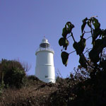 Image 02