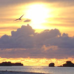 Image 05
