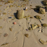 Image 07